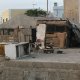 30- la bassecour sur un toit 